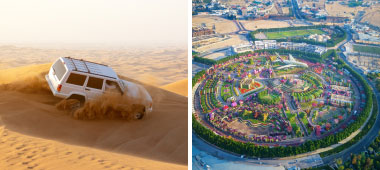 Experience the thrill of the Desert Safari followed by the enchanting beauty of Miracle Garden.