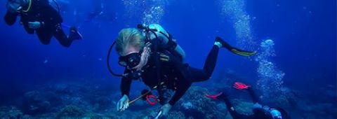 Scuba Diving	