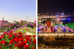  Miracle Garden + Global Village