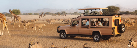 Overnight Safari Camp Sir Bani Yas Island